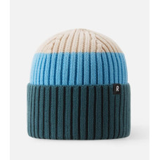 Шапка Reima Pipoke 5300299A-795A